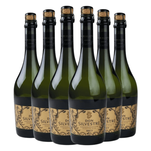 Kit 6 Espumante Don Silvestre Brut
